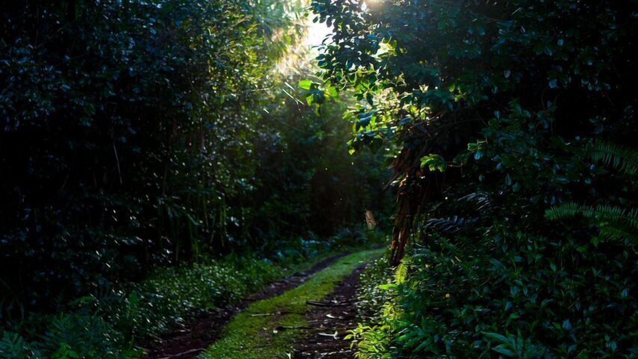 Photo of Outdoor in Kapoho