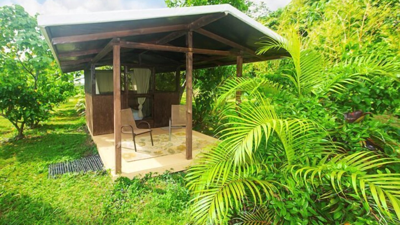 Photo of Others in Kapoho