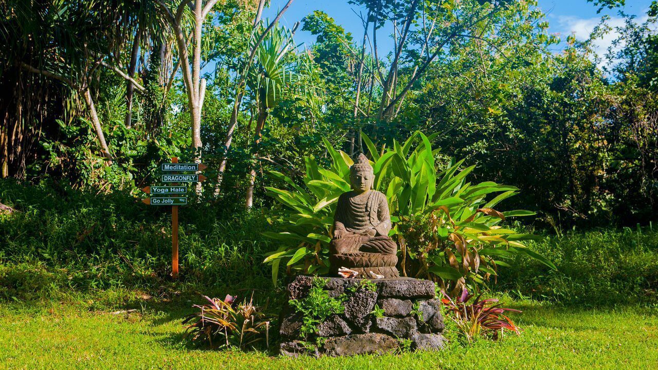 Photo of Outdoor in Kapoho