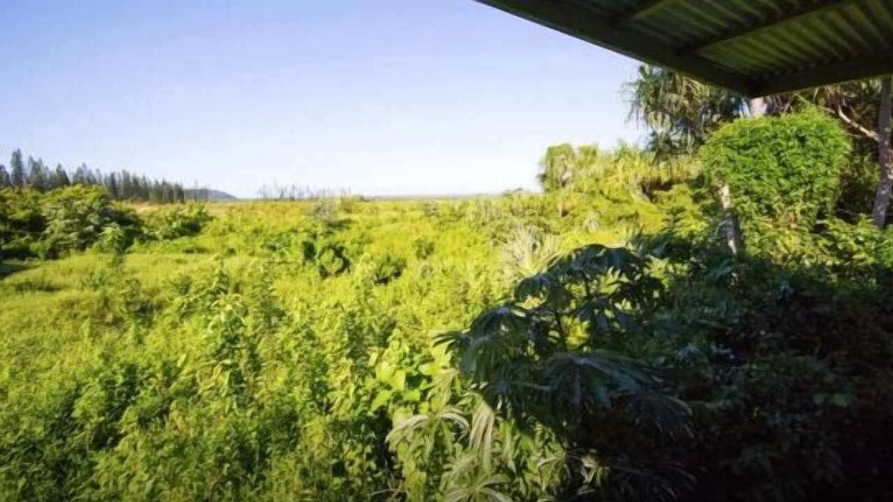 Photo of Outdoor in Kapoho