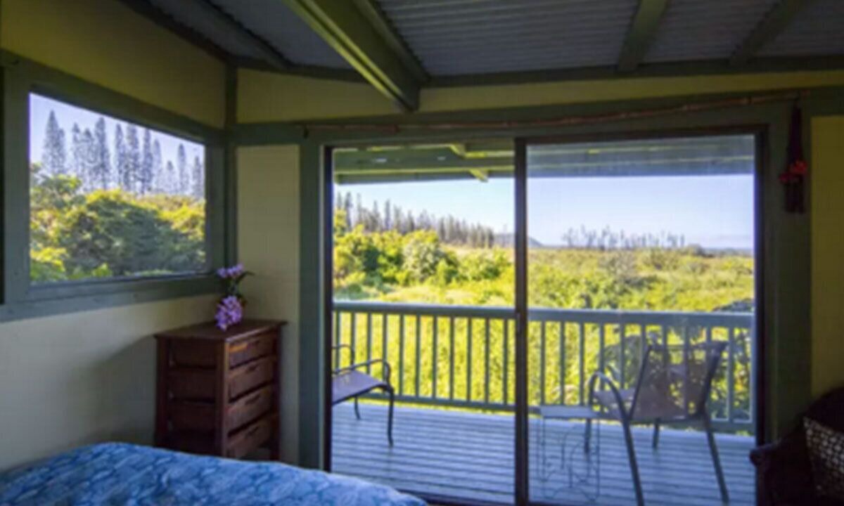 Photo of Outdoor in Kapoho