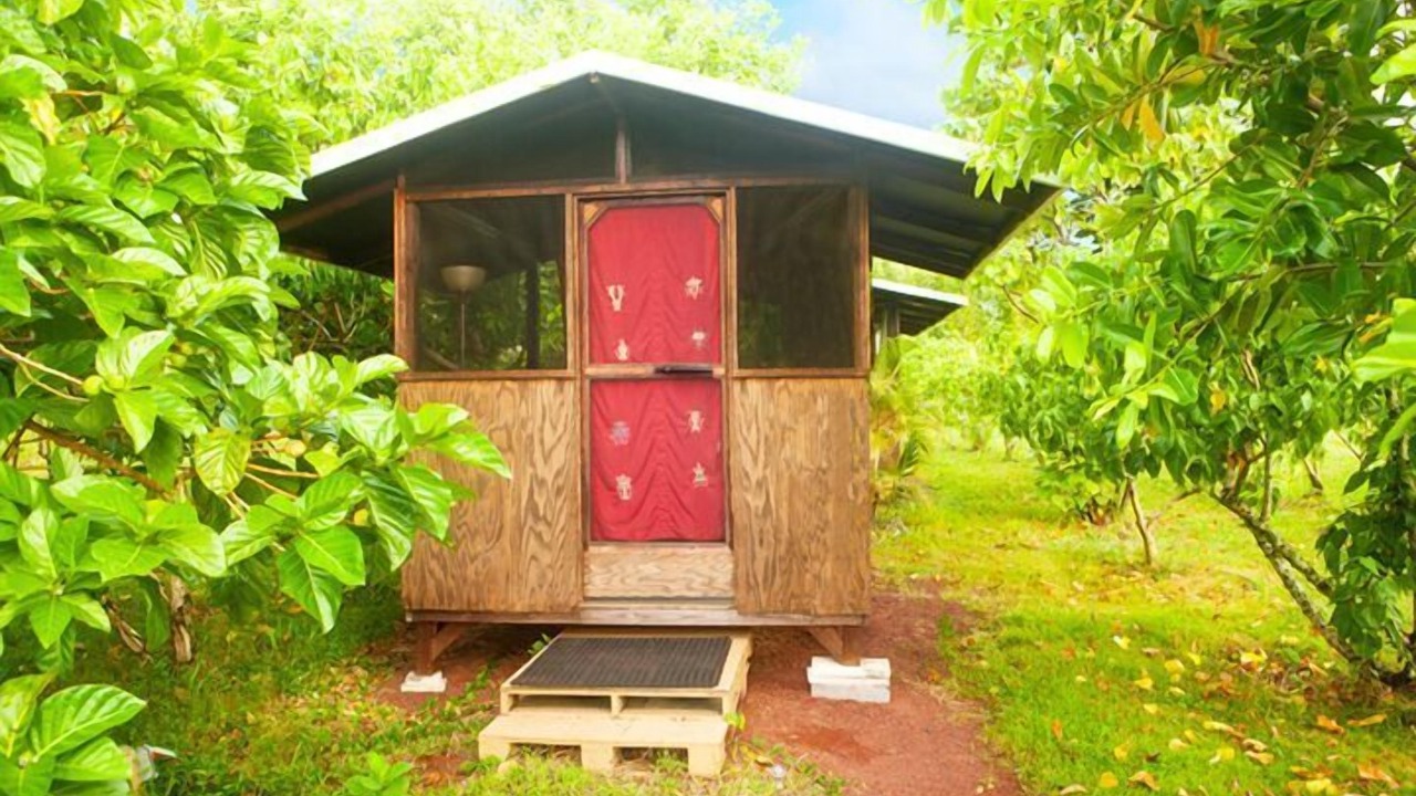 Photo of Others in Kapoho