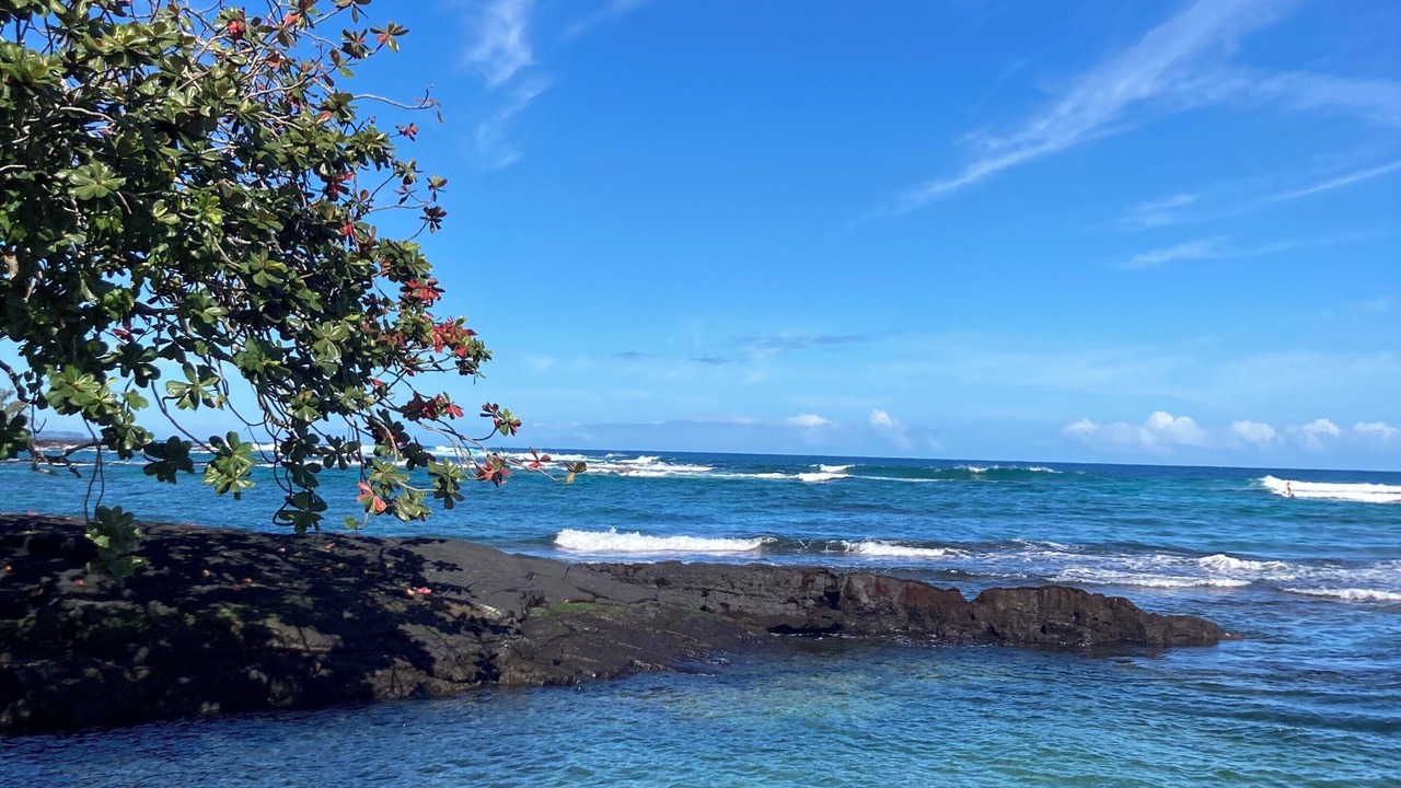 Photo of Others in Hilo