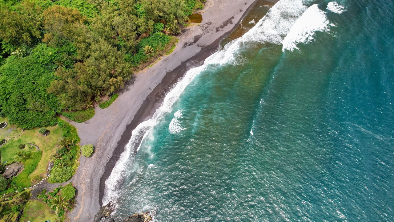 Photo of Others in Hana