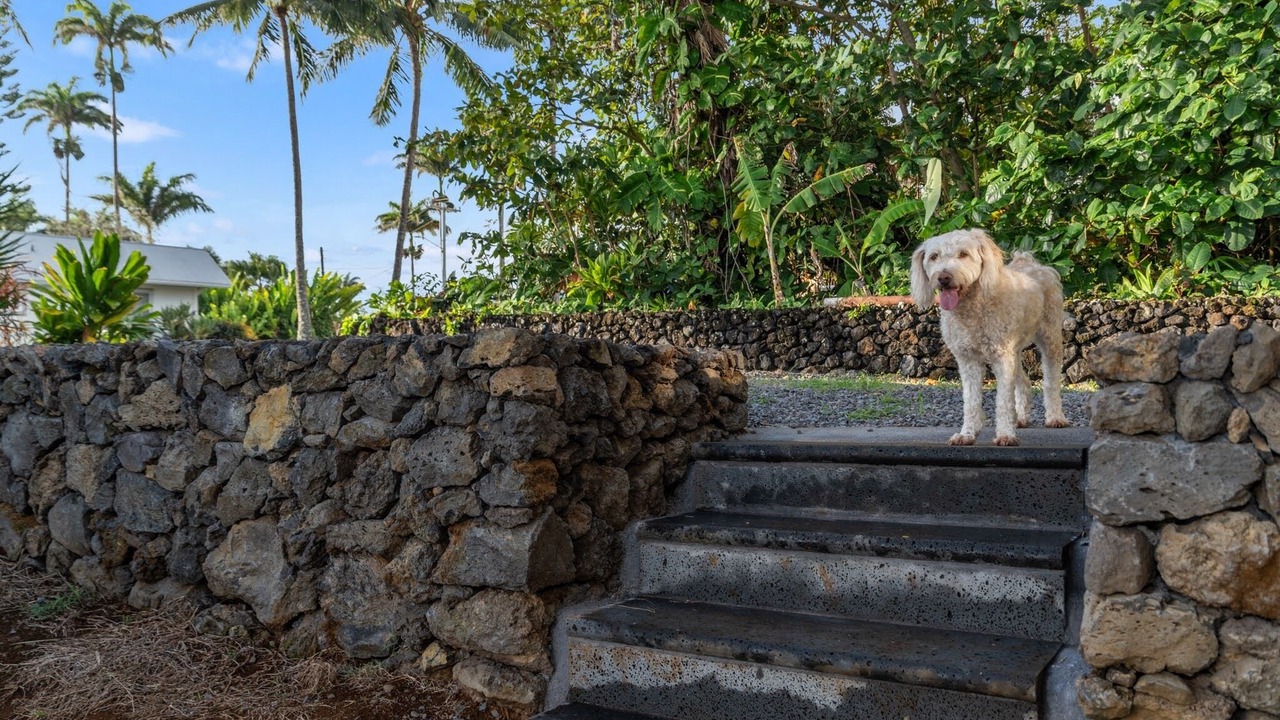 Photo of Outdoor in Hana
