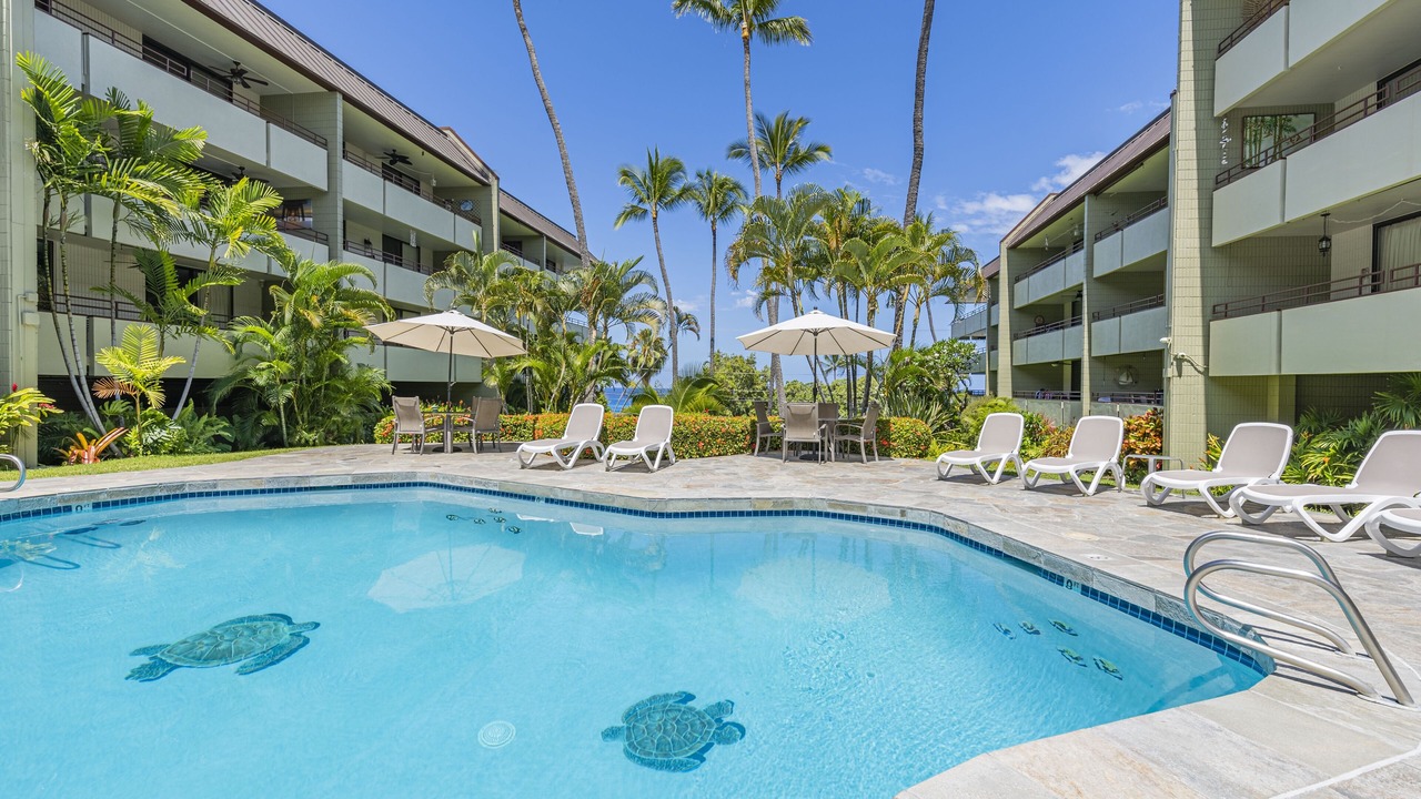 Photo of Outdoor in Kahaluu Bay