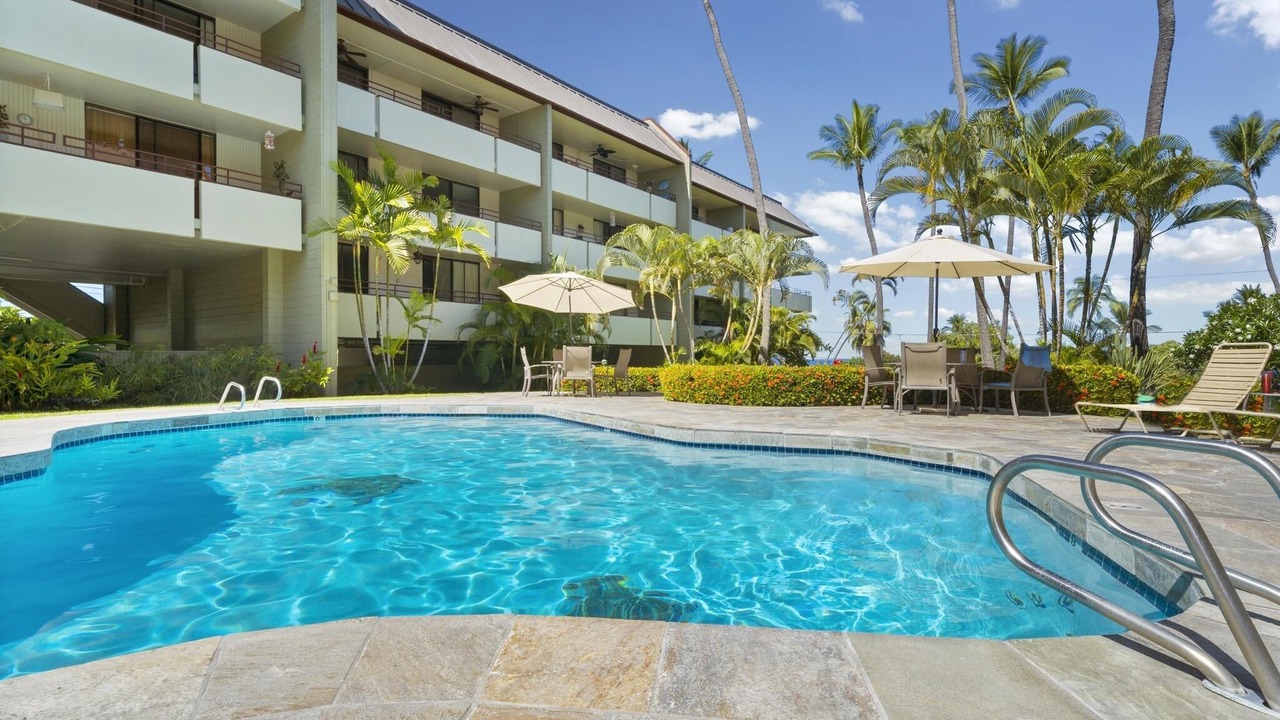 Photo of Outdoor in Kahaluu Bay