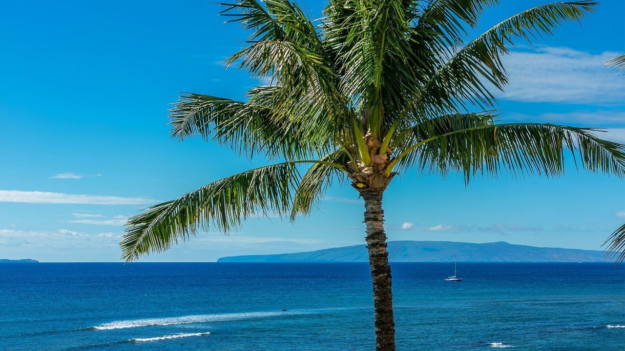 Photo of Others in Maalaea