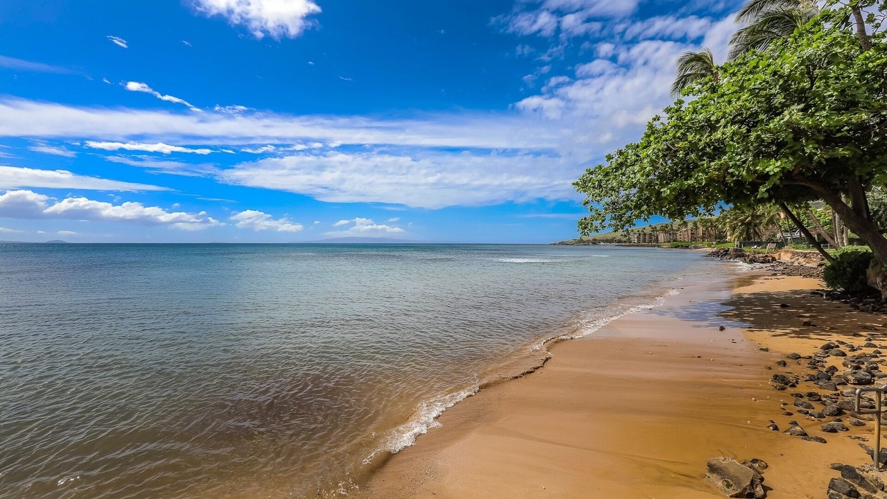 Photo of Others in Maalaea