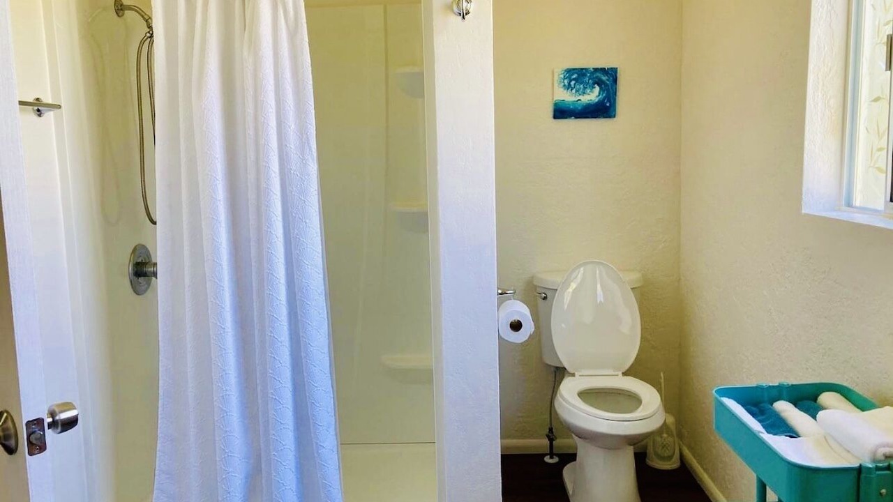 Photo of Bathroom in Kapoho