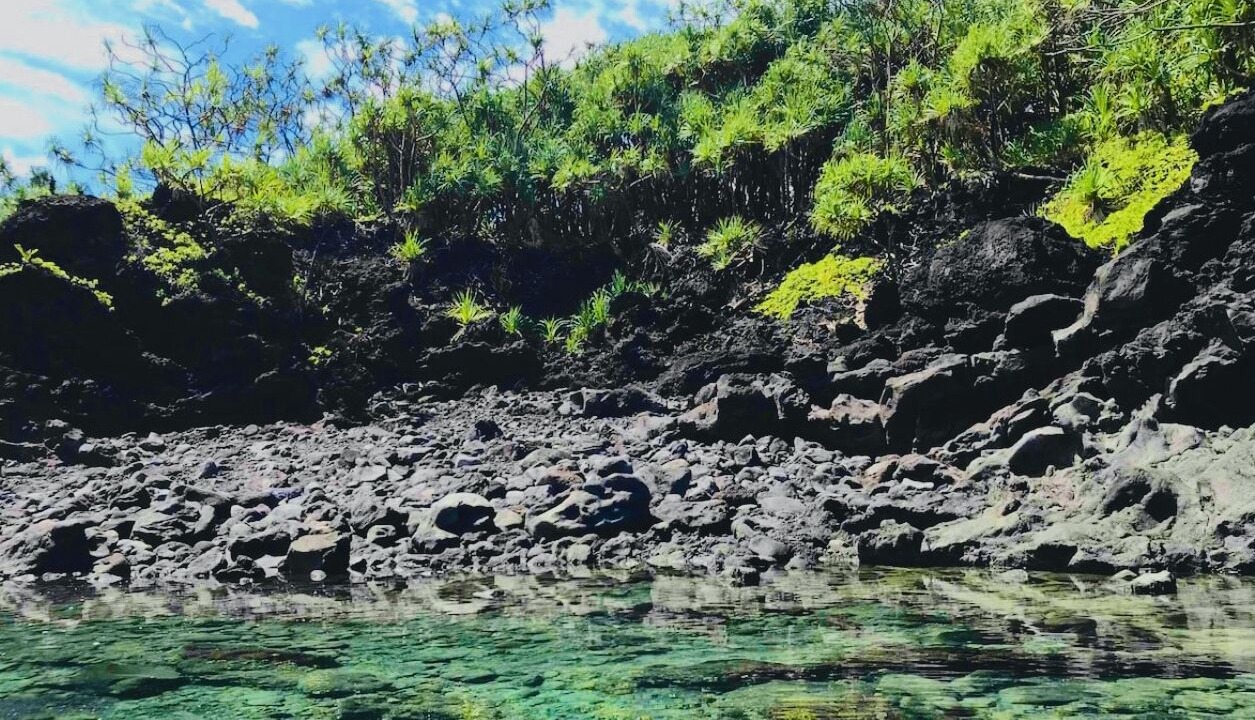 Photo of Others in Kapoho