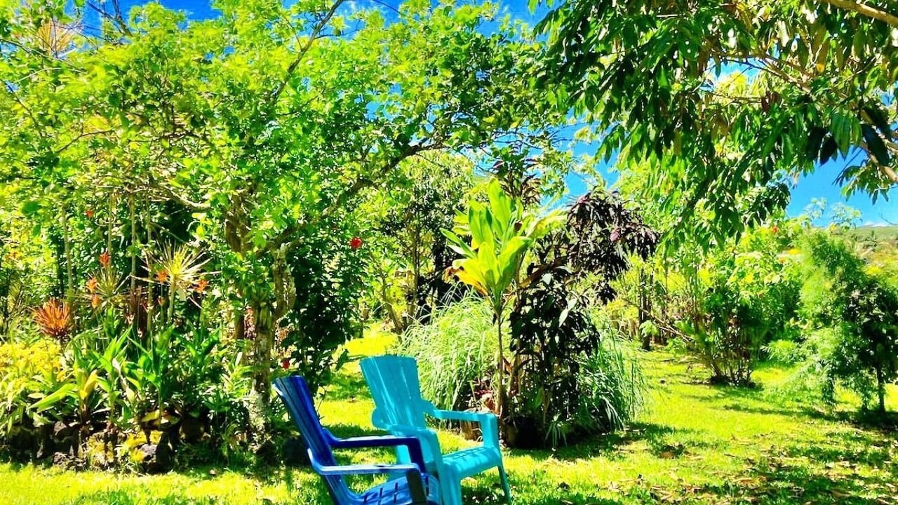 Photo of Outdoor in Kapoho