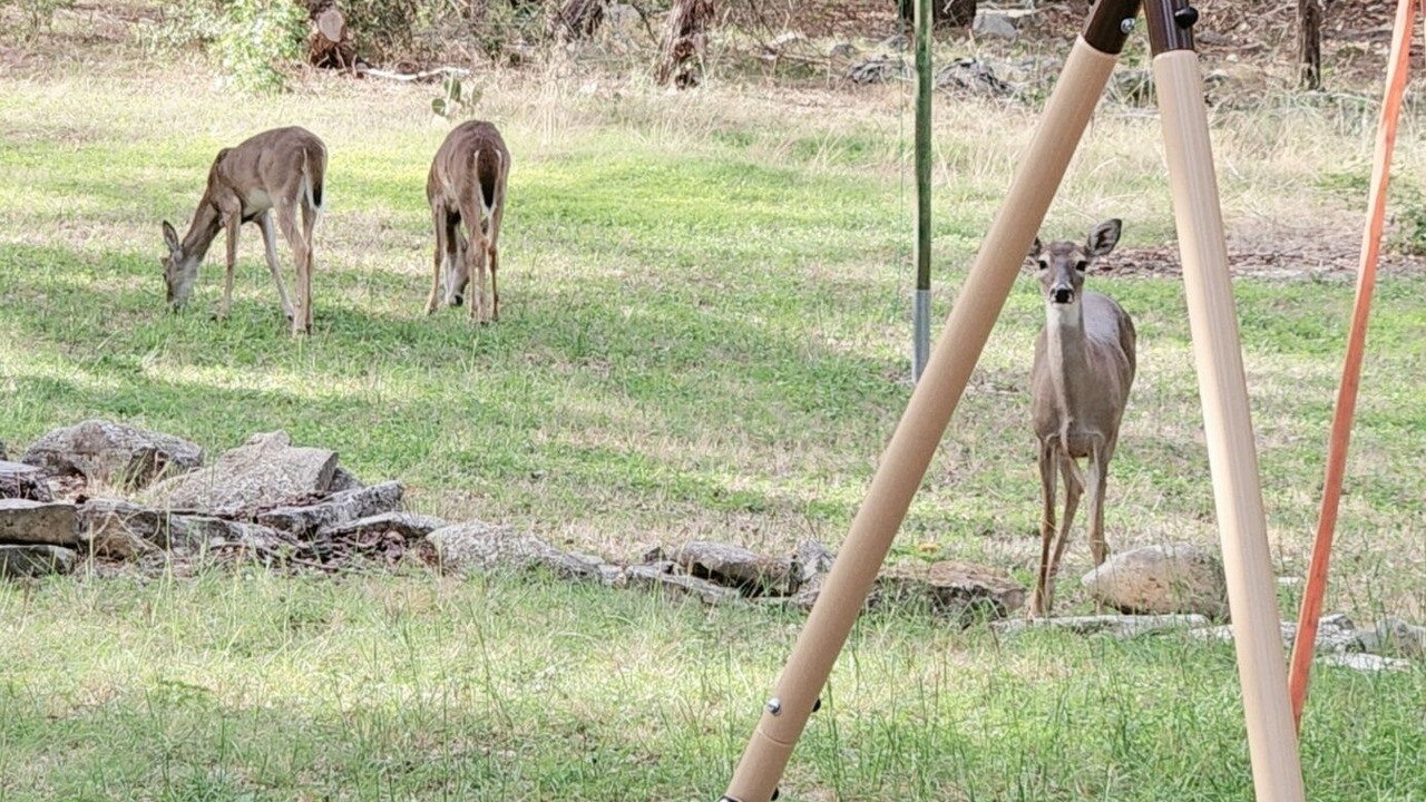 Photo of Outdoor in Georgetown