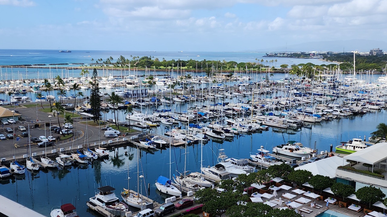 Photo of Others in Waikiki