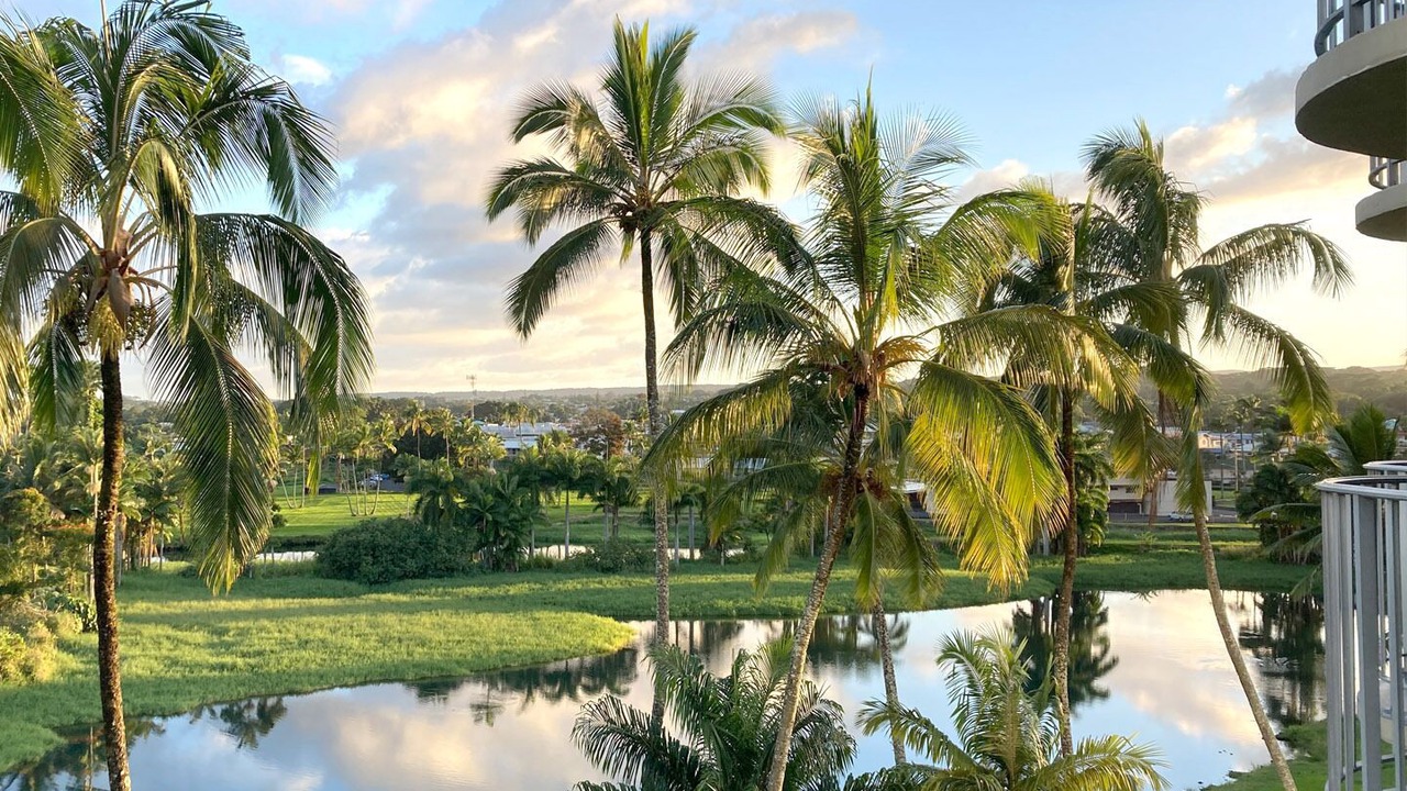 Photo of Others in Hilo
