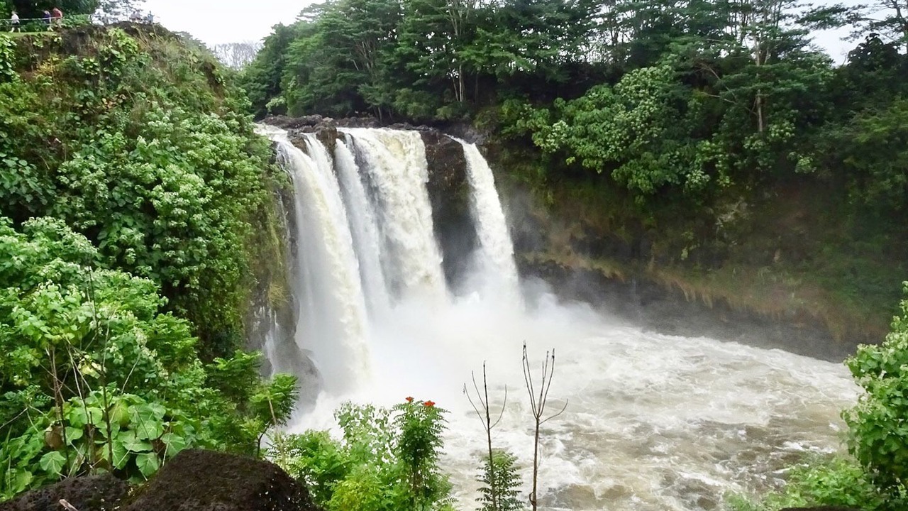 Photo of Others in Hilo