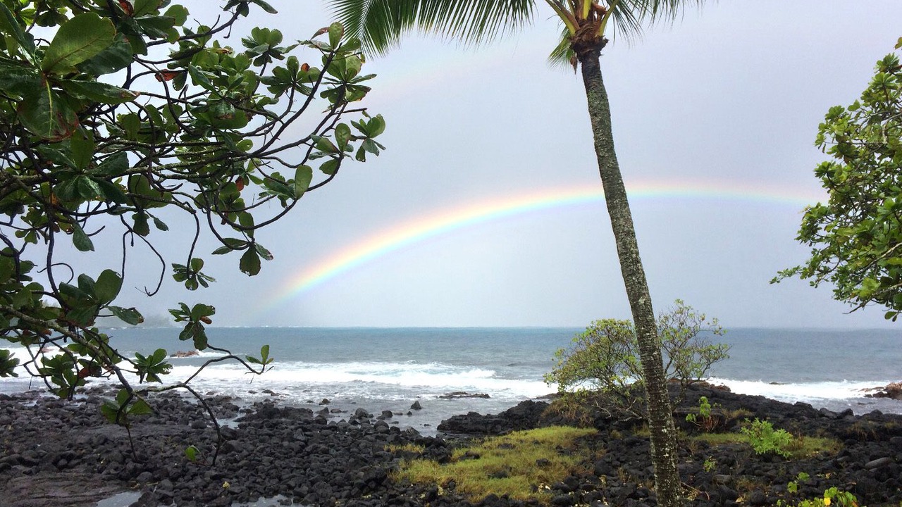 Photo of Others in Hilo