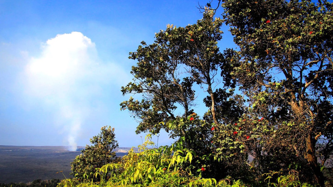 Photo of Others in Hilo