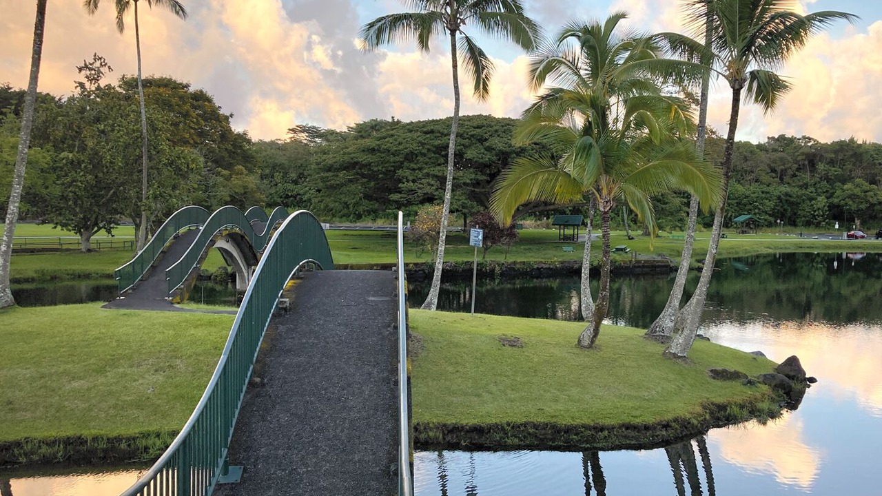 Photo of Others in Hilo