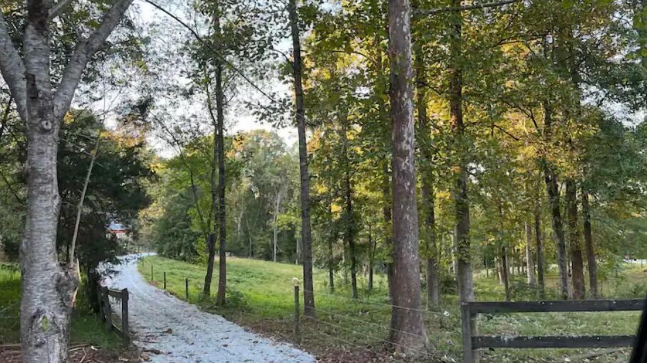 Photo of Others in Travelers Rest