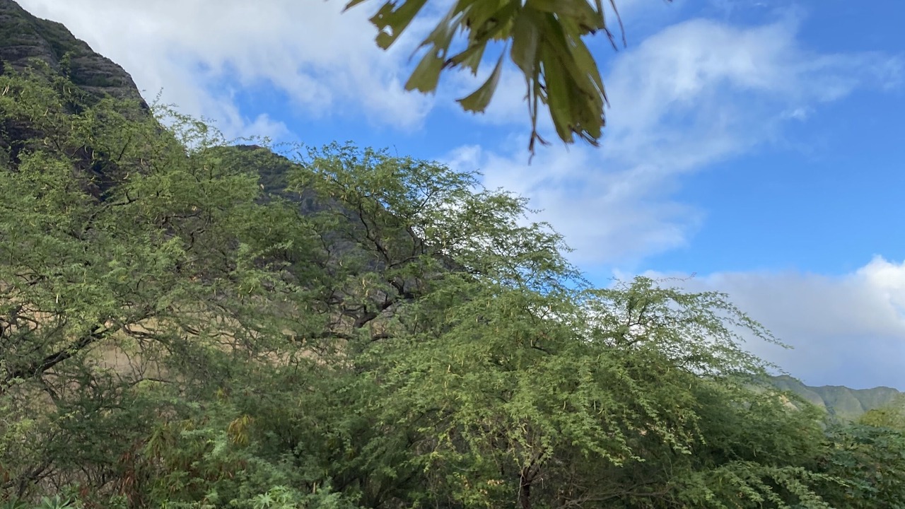 Photo of Outdoor in Makaha Valley