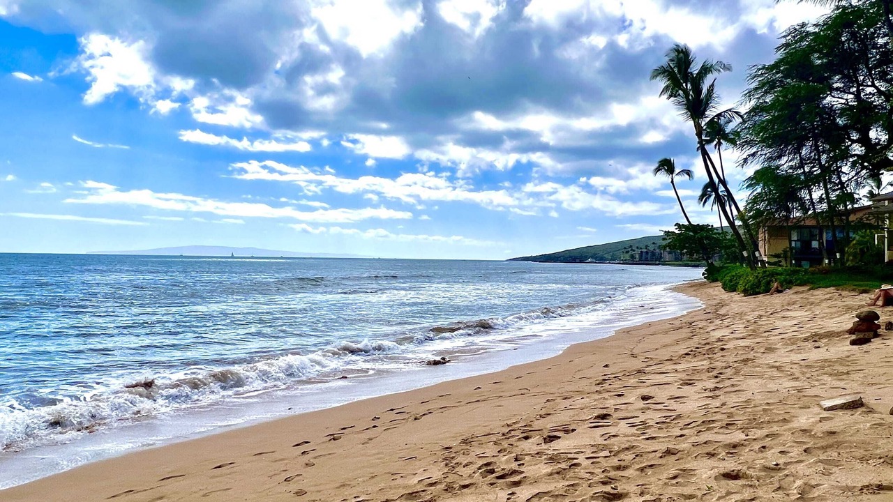 Photo of Others in Maalaea