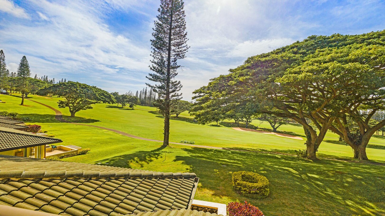 Photo of Others in Kapalua