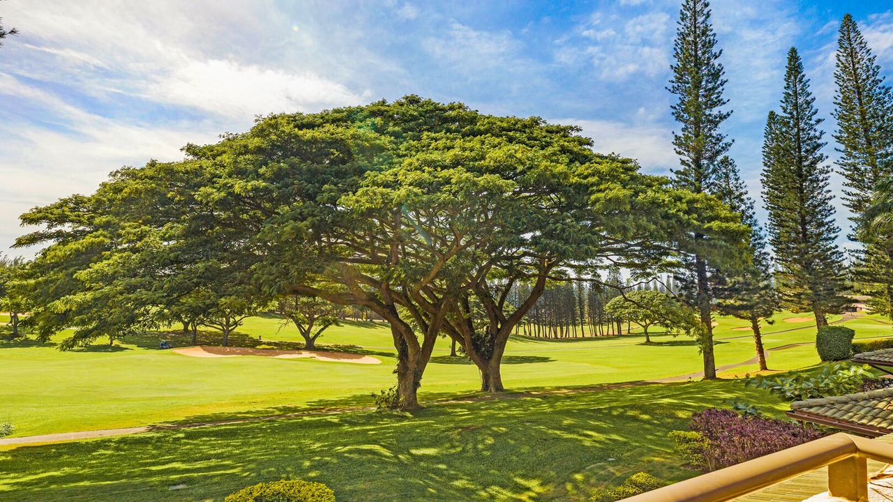 Photo of Others in Kapalua