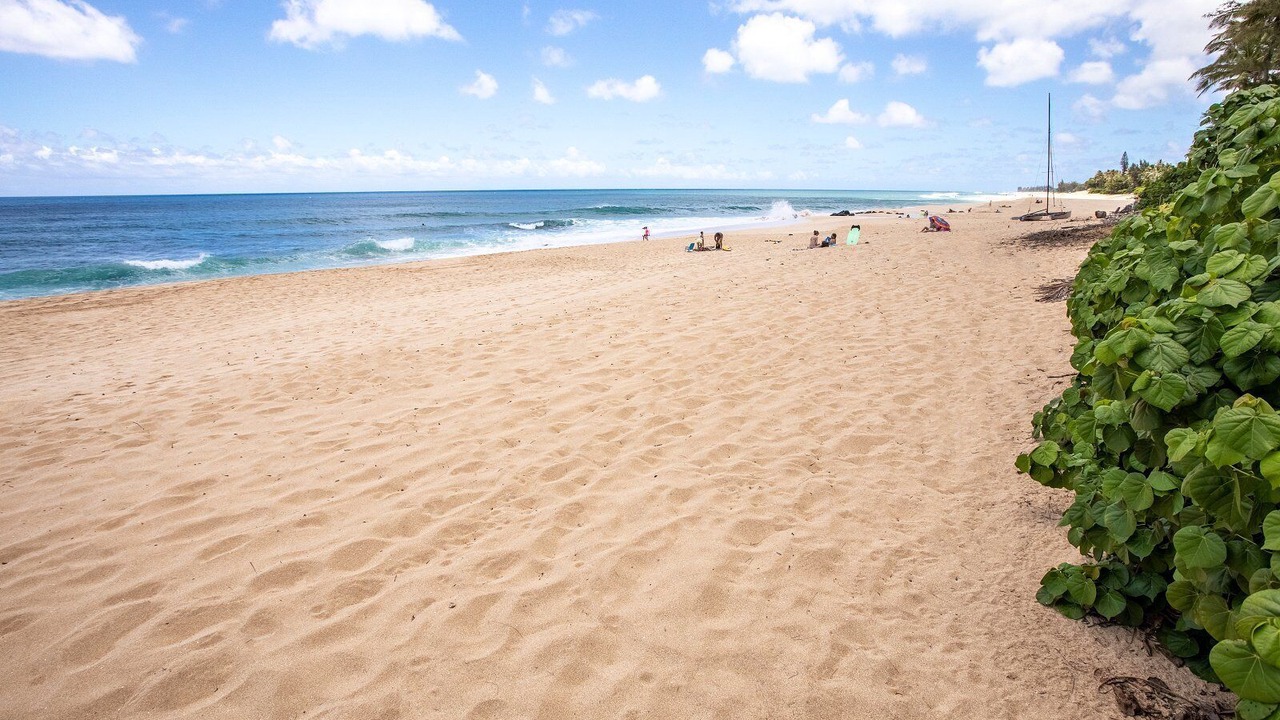 Photo of Others in Waialee