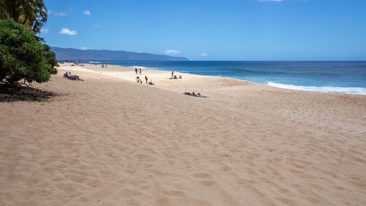 Photo of Others in Waialee