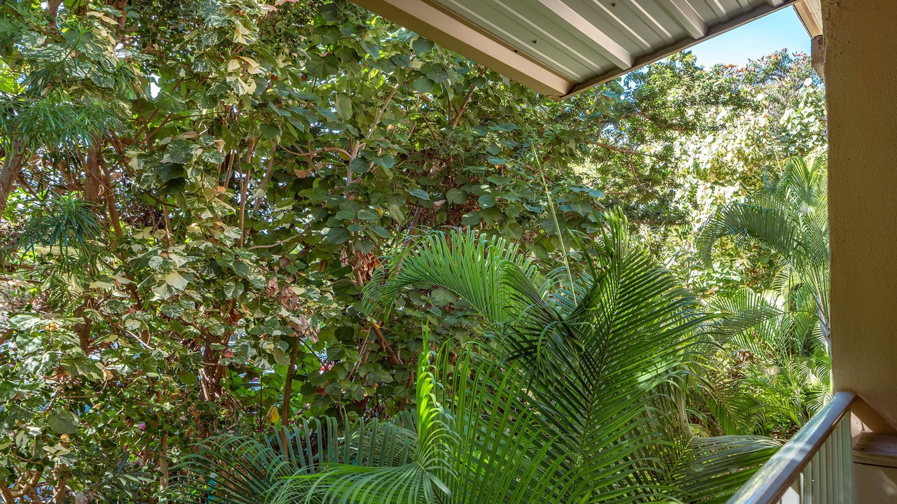Photo of Outdoor in Wailea