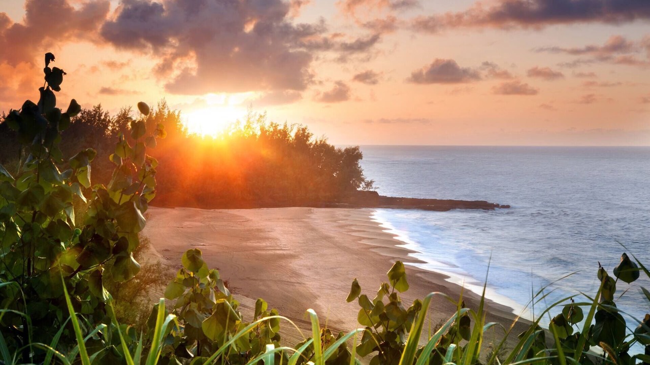 Photo of Others in Princeville