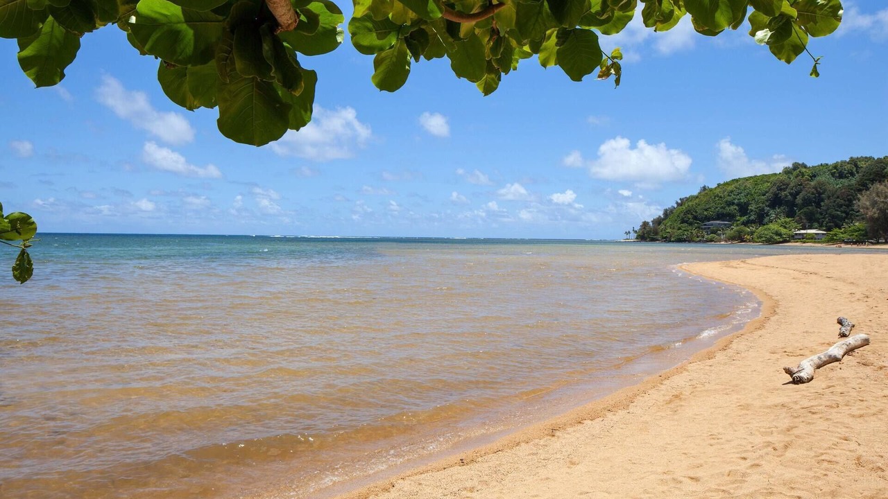 Photo of Others in Princeville