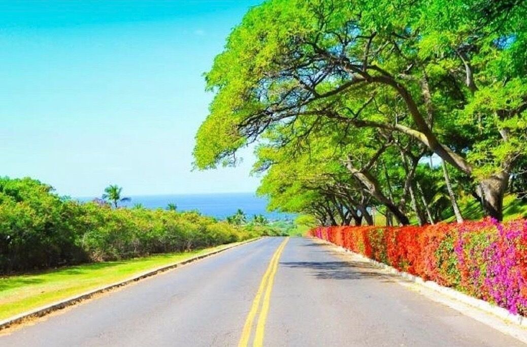 Photo of Others in Makaha Valley
