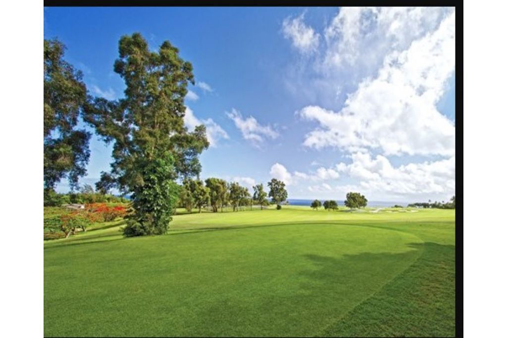 Photo of Others in Princeville