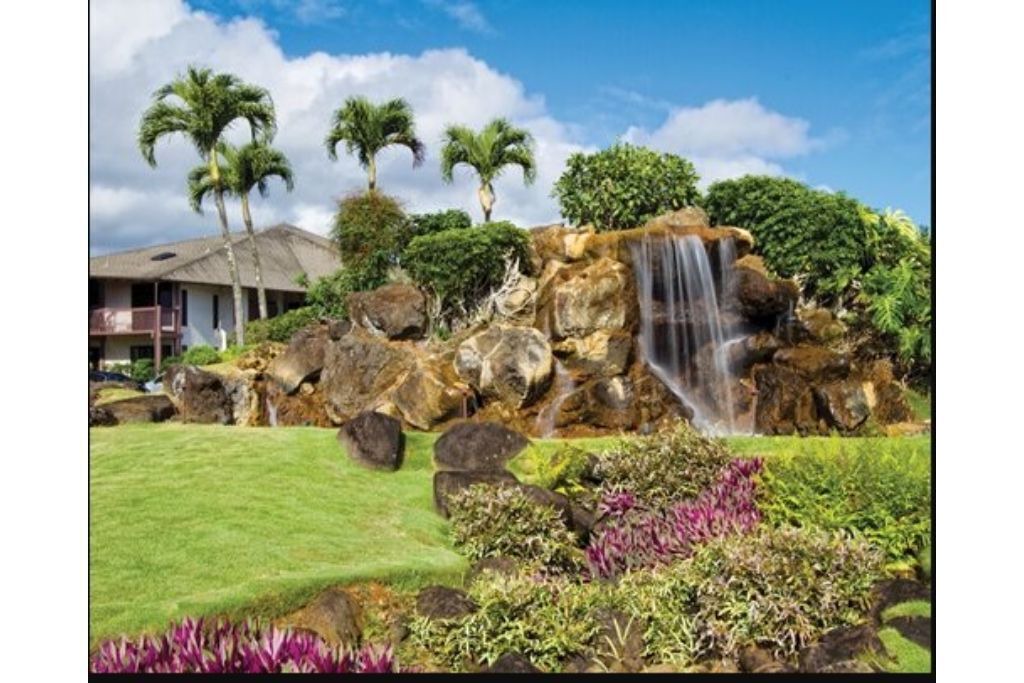 Photo of Outdoor in Princeville