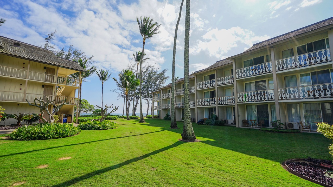 Photo of Outdoor in Wailua