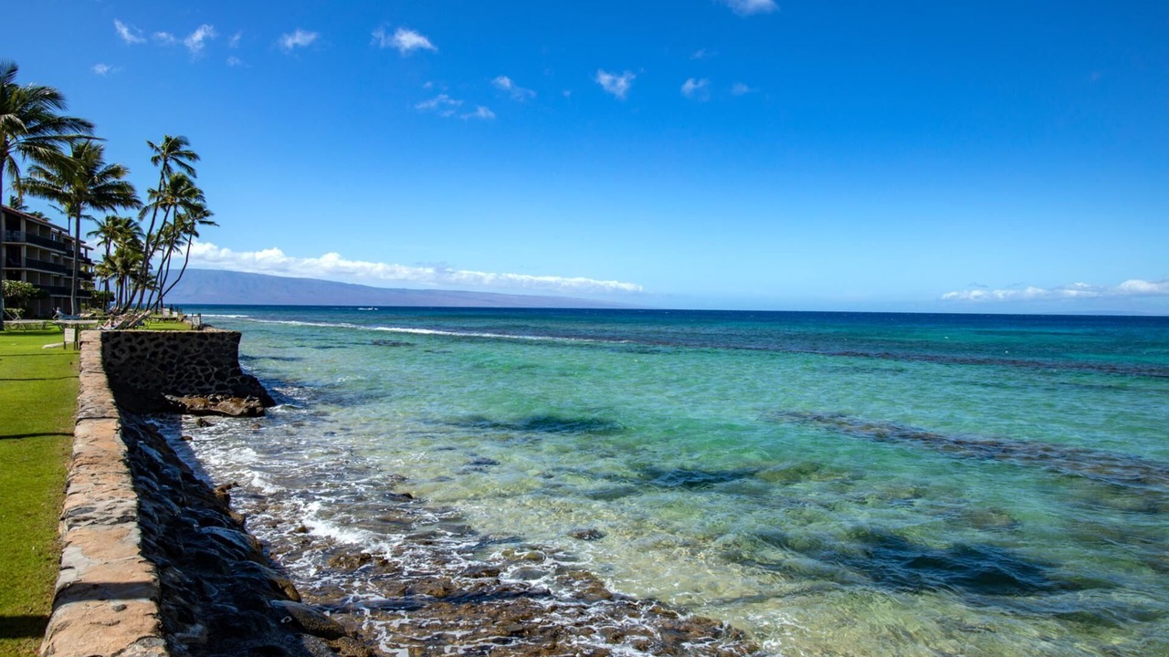 Photo of Others in Napili