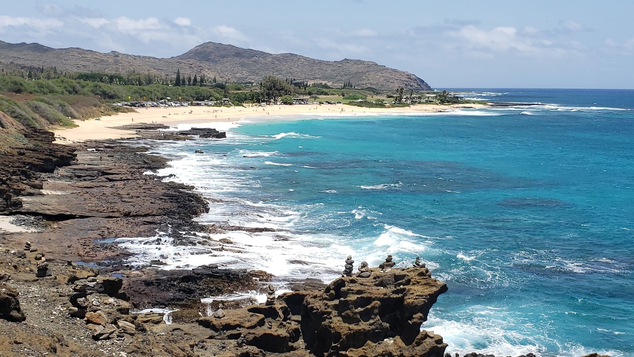 Photo of Others in McCully - Moiliili