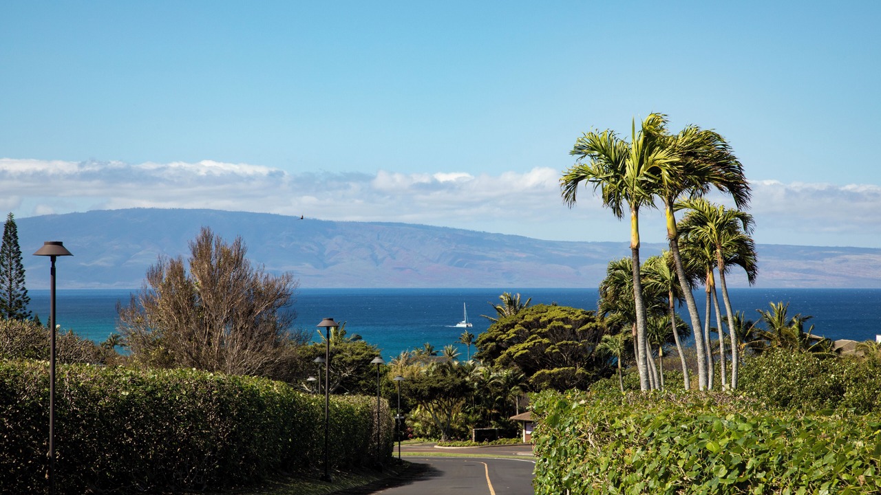 Photo of Outdoor in Napili