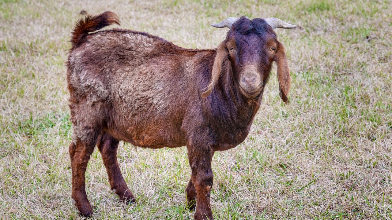 Photo of Others in Wray