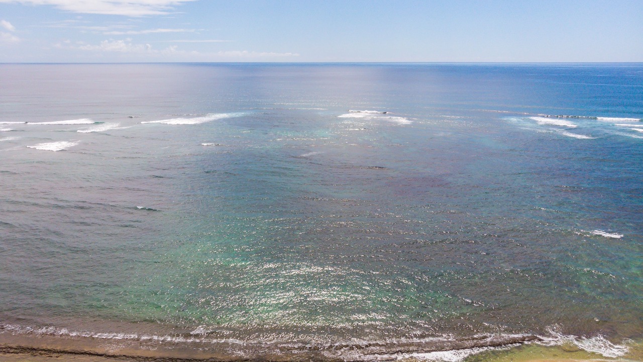 Photo of Others in Wailua