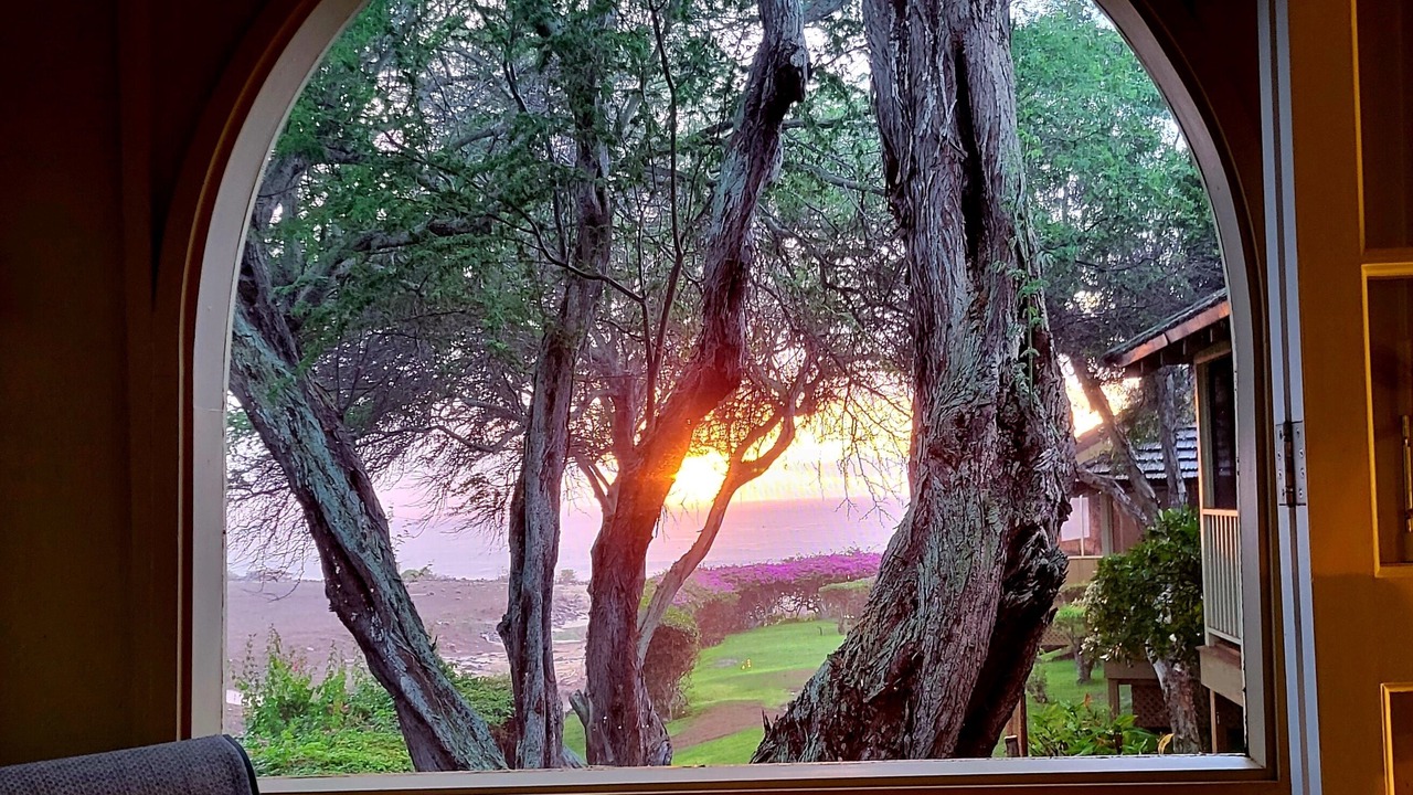 Photo of Others in Maunaloa