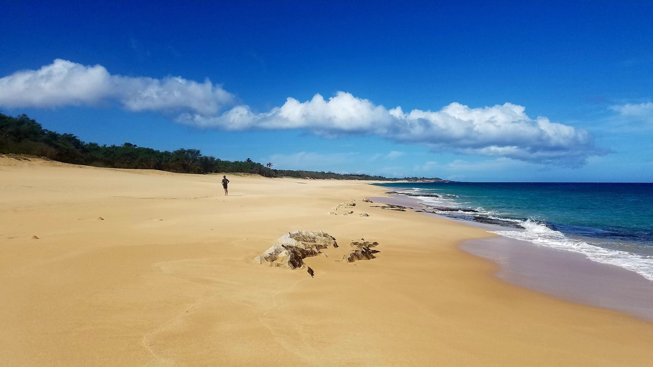 Photo of Others in Maunaloa