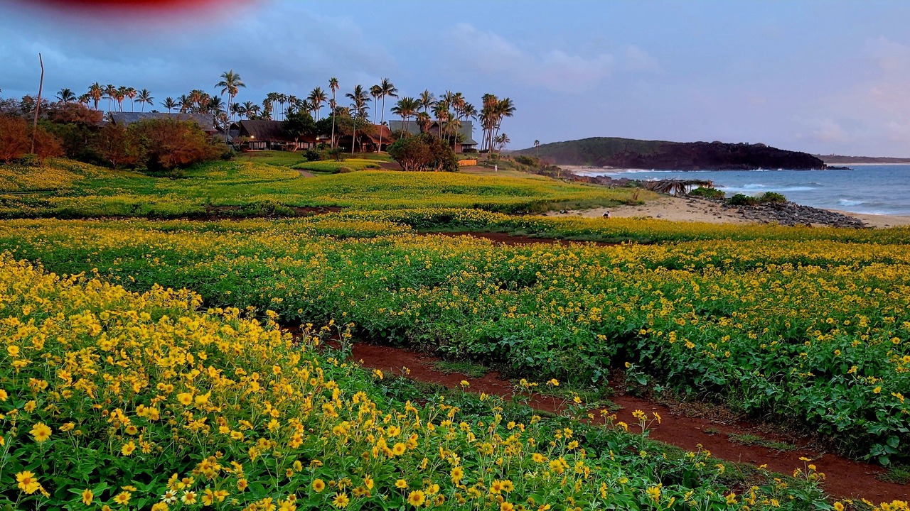 Photo of Outdoor in Maunaloa