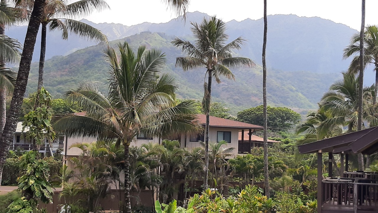 Photo of Outdoor in Wainiha