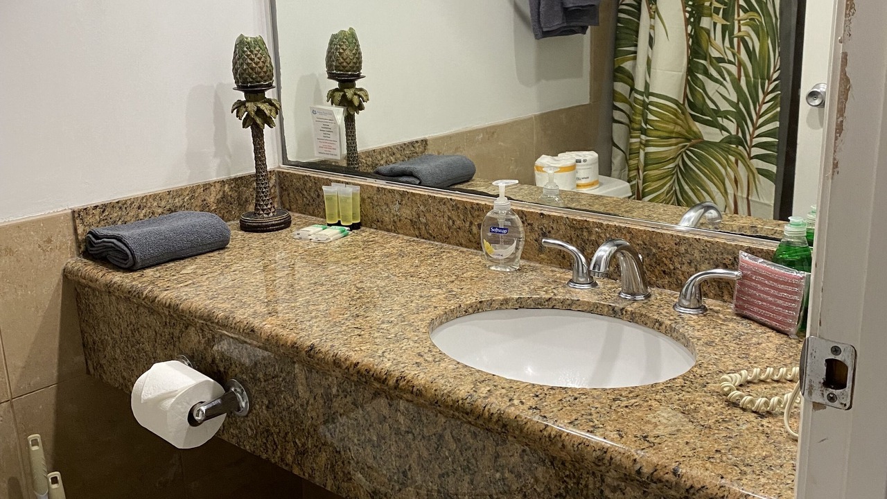 Photo of Bathroom in Ala Moana