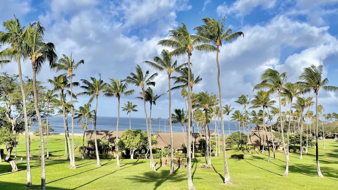 Photo of Others in Maunaloa