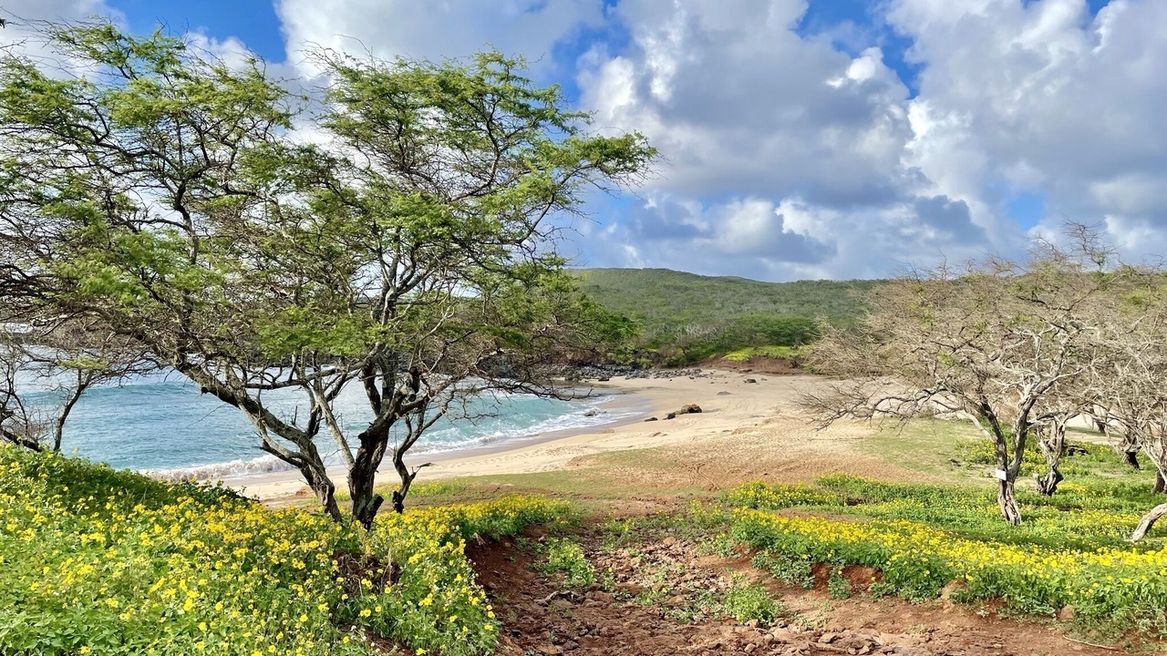 Photo of Others in Maunaloa