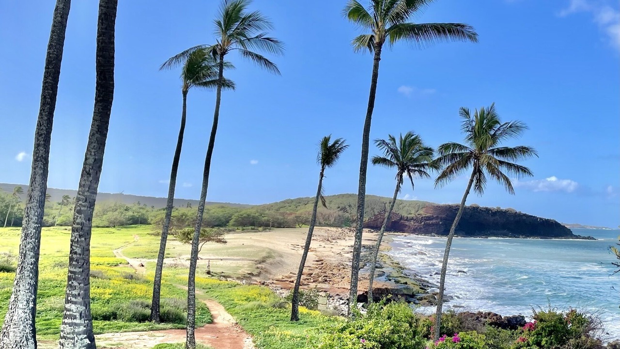 Photo of Outdoor in Maunaloa